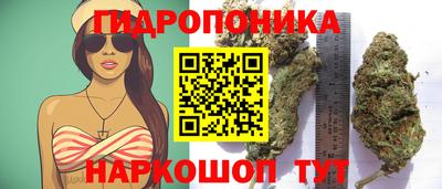 ПСИЛОЦИБИНОВЫЕ ГРИБЫ Ливны
