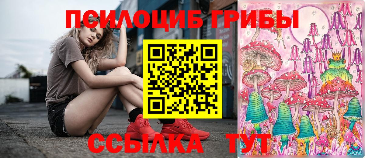 Псилоцибиновые грибы мицелий Северск