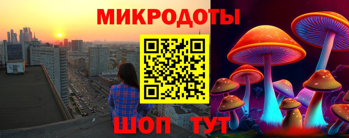 Псилоцибиновые грибы Cubensis  Вход с VPN  Северск  Галлюциногенные грибы MAGIC MUSHROOMS 